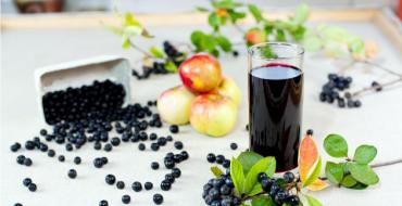 Як приготувати компот із горобини на зиму: прості рецепти з червоною та чорною ягодою Горобиновий компот